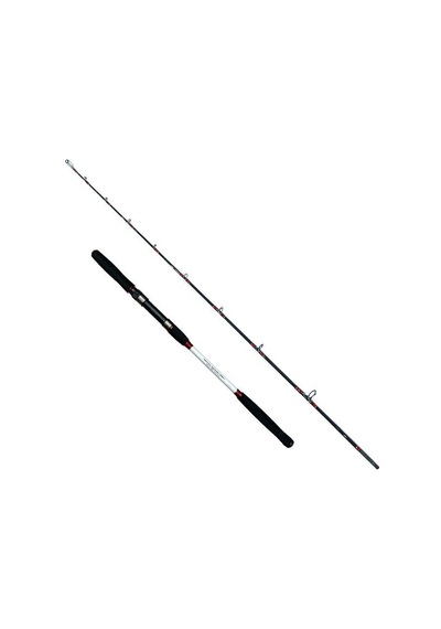 Dft Bentley 180 Cm Jig Kamışı 100-250 G - 810.jb100.180