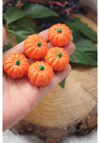 10 Lu Mini Balkabağı Dekor