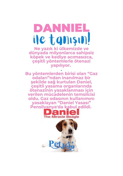 Petjoo 21.Danniel Mavi-Pembe Qr'lı Köpek Künyesi
