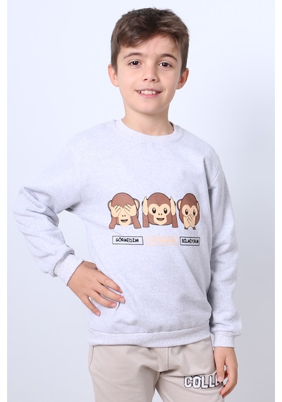 Hçm Erkek Çocuk Şardonlu Sweat Karakter Baskılı Ribanalı E34 Gri