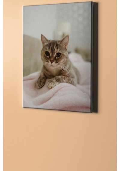 Webstyle Sayılarla Boyama Seti Kasnaklı Minik Kedi 1 50x65 Cm