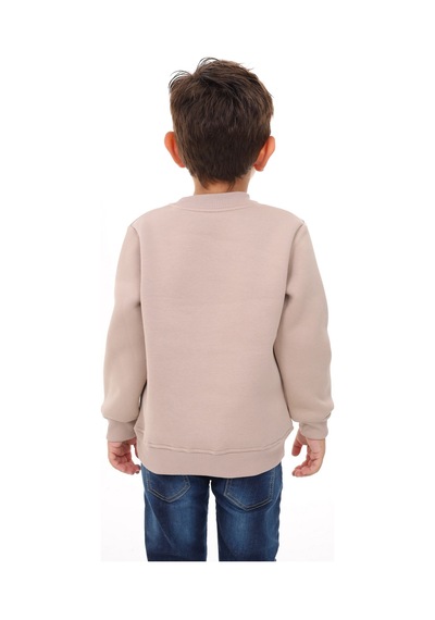 Toontoy Kids Toontoy Erkek Çocuk Nakışlı Sweatshirt Bej