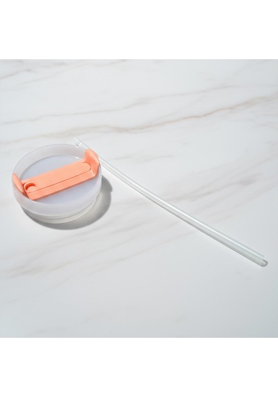 Any Morning Vaha 1200 Ml Termos Mug Kapağı Ve Pipet Açık Somon