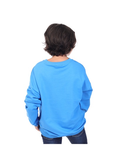 Toontoy Erkek Çocuk Baskılı Sweatshirt Saks