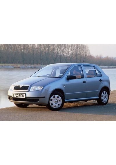 Skoda Fabia 3D Paspas Havuzlu Siyah Hb 2000-2007 Arası Rizline N11.10606