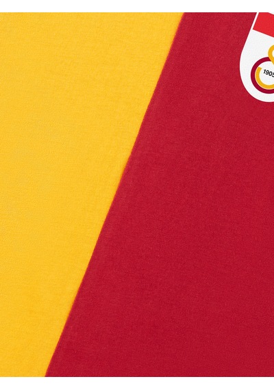 Galatasaray Parçalı 5 Yıldızlı Çocuk T-shirt C251440 Sarı - Kırmızı