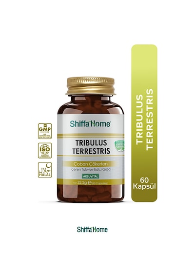 Tribulus Terrestiris Çoban Çökerten 60 Kapsül
