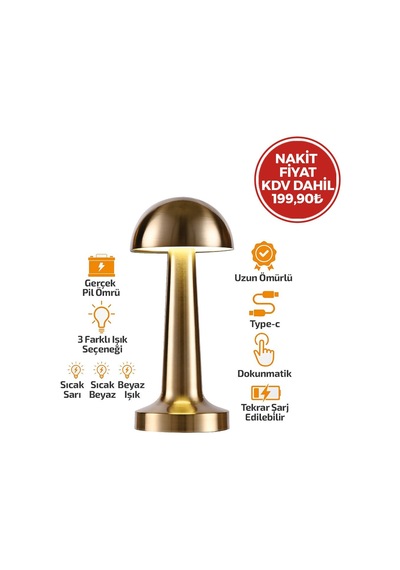 Noas Atina Yl86-1231 Mantar Masa Lambası 3 Fonksiyonlu Oval Metal Renkli Dokunmatik Type-c Şarjlı Diğer
