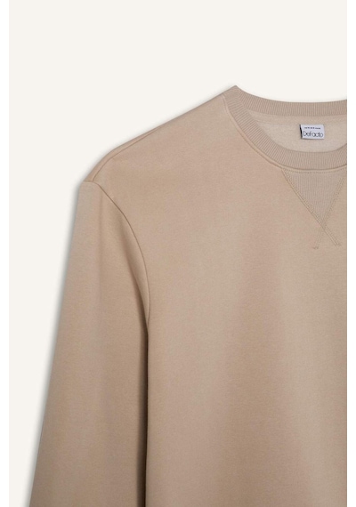 DeFacto Regular Fit Bisiklet Yaka Kalın Basic Düz Sweatshirt T3777AZ25SPBG735