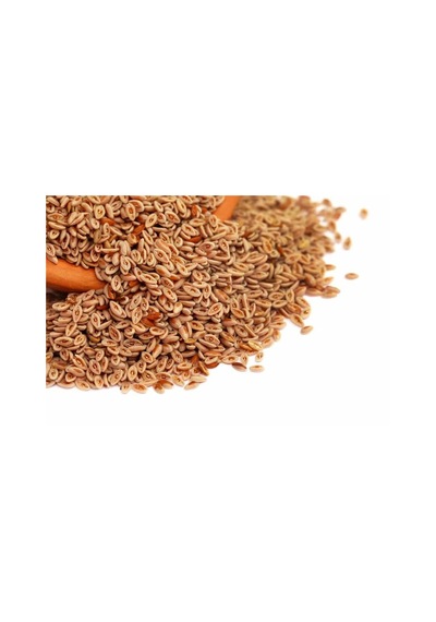 Cemilefendi Karnıyarık Tohumu 1 KG