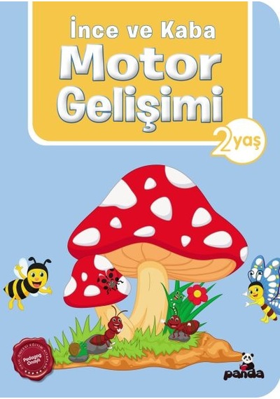 İnce Ve Kaba Motor Gelişimi 2 Yaş