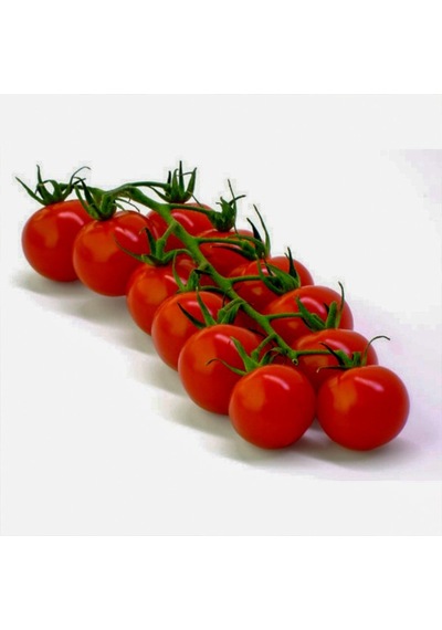 Cherry Çeri Pinpon Domates Tohumu250 Adet Paket