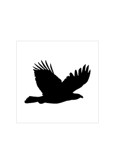 Kartal Folyo Sticker Derstv754 160cm Uzunluk Siyah