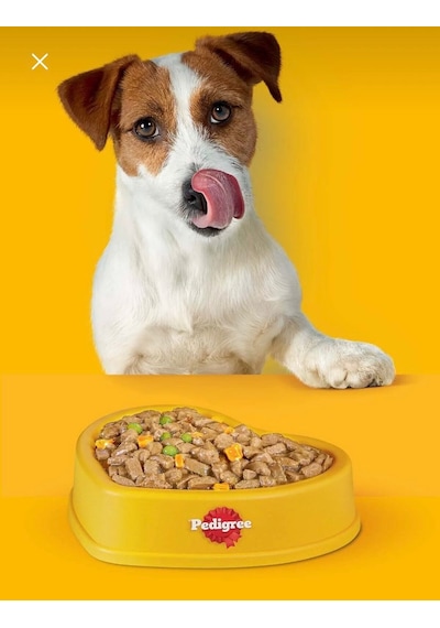 Pedigree Sığırlı Konserve Yaş Köpek Maması 400 G 2 Adet