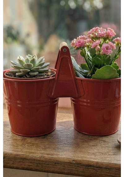 İkiz Saksılık Metal 10 Cm - Dekoratif Çiçeklik Kova Ve Çok Amaçlı Düzenleyici Kırmızı