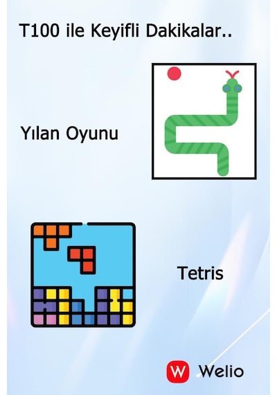 Wkey T100 Gümüş Tuşlu Cep Telefonu Kamerasız Asker Telefonu Yaşlı Cep Telefonu Kvk Garantili