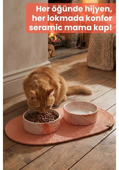 2'li Seramik Paspaslı Mama Kabı Turuncu-kaymaz Tabanlı Kedi Köpek Mama Ve Su Kabı
