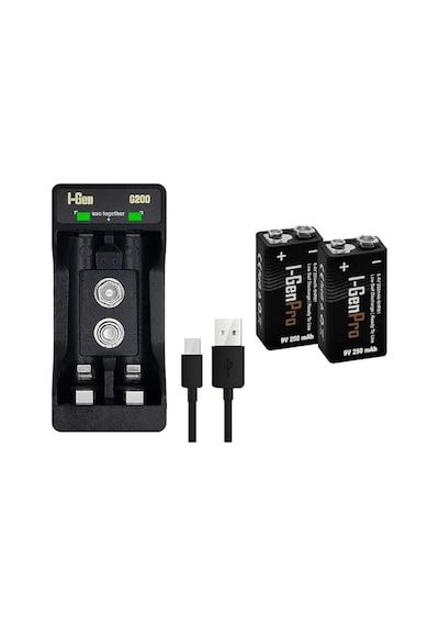 I-gen Batteries D925 2 Li Aa/aaa/9v Pil Şarj Aleti + 2 Adet 9v Pro 250 Mah Ni-mh Şarjlı 9v Pil Seti