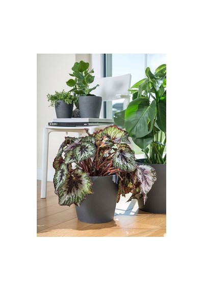 Ikea Persıllade Toprak Saksı, Koyu Gri 65320935