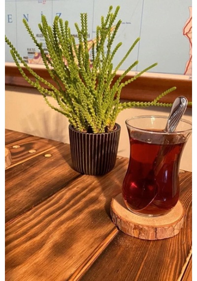 Doğal Ahşap Kütük Bardak Ve Mum Altlığı 5 Li Set Acı Kahverengi