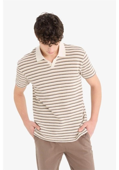 DeFacto Regular Fit Polo Yaka Çizgili Dokulu Kısa Kollu Tişört D7249AX25SPER85
