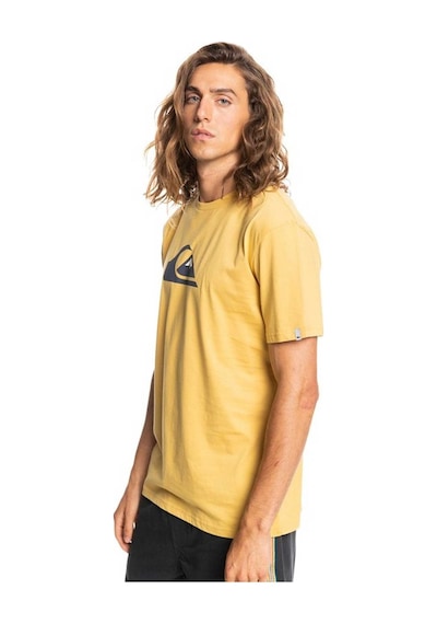 Quiksilver Complogo Erkek Tişört EQYZT06534-YKD0