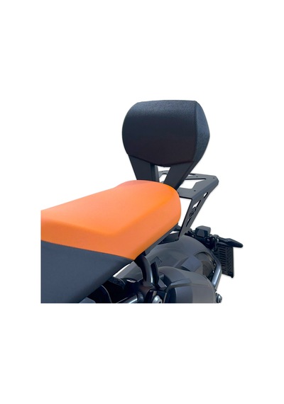GP Kompozit BMW CE 04 2022-2024 Uyumlu Sissy Bar Siyah
