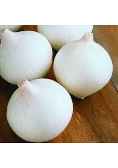 50 Adet Tohum Nadir Bulunan Beyaz Kışlık Kuru Soğan Tohumu Kuru Beyaz Soğan