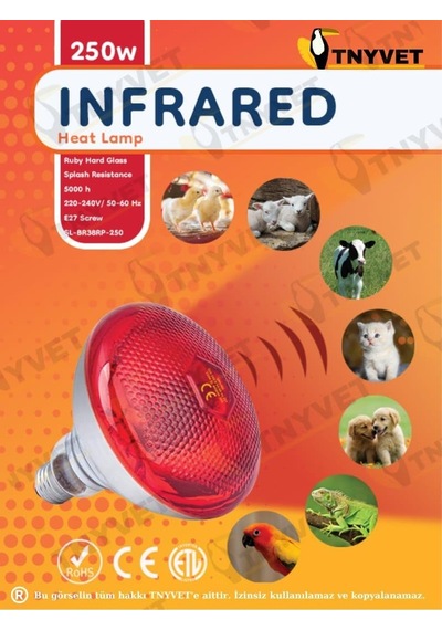 2 Adet/tnyvet E27 Duylu 250 Watt Infrared Isıtıcı Lamba Hayvan Barınakları İçin Etkili Isıtma 250 Watt / 2 Adet