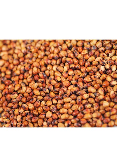 Sorgum Sudan Otu Tohumu 1 KG N118064