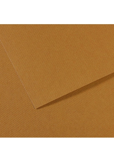 Canson Fon Kartonu Dokulu Mı-teıntes 25 Li 50x65 160 Gr 336 Cachou 200321034 Çok Renkli