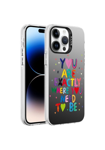 Apple Uyumlu iPhone 14 Pro Desenli Csk Zore Silver Sert Kılıf-you