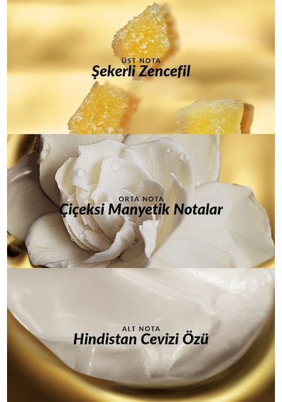 Attraction Intense Kadın Parfüm Edp 100 Ml.