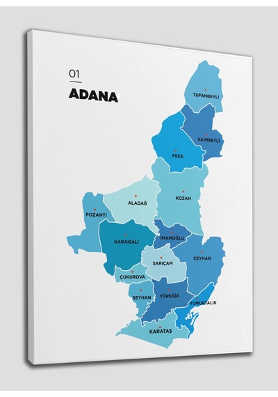 Doğaltercih Adana İli ve İlçeler Haritası  Dekoratif Kanvas Tablo 1247
