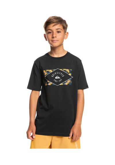 Quiksilver Circled Line Erkek Çocuk Tişört Siyah