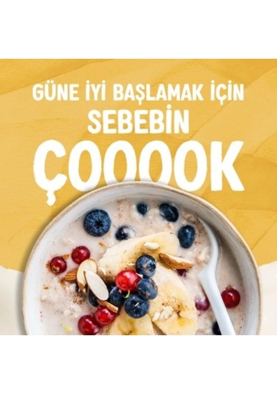 1 L Laktozsuz Vegan Yulaf Sütü