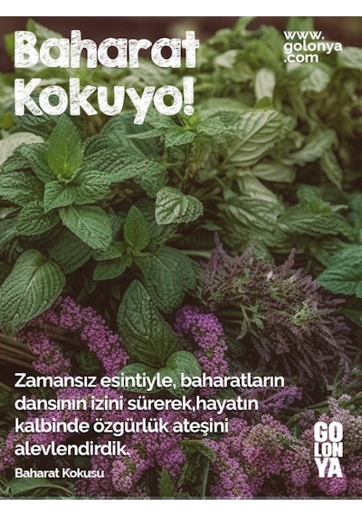 Golonya Baharat Kokulu Cam Şişe Kolonya 250 ML