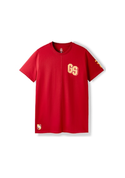 Gsstore Galatasaray Erkek T-shirt E252098 Kırmızı