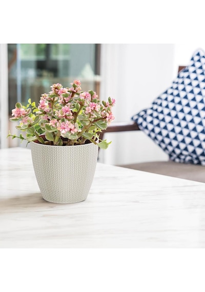 Serinova Sümela Örgü Desenli Saksı 1.4 Lt 15249801