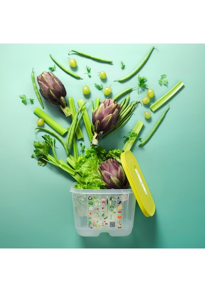 Tupperware Sera Serisi 4'lü Yeşil ve Sarı Kap