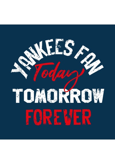 Yankees Fan Kupa Bardak Çok Renkli