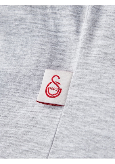 Gsstore Galatasaray Çocuk T-shirt C252147 Gri Melanj