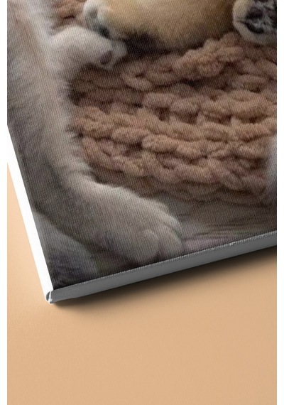 Webstyle Sayılarla Boyama Seti Kasnaklı Iki Yavru Kedi 40 X 50 Cm