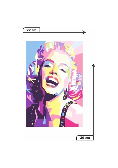 Kuşe Kağıt Duvar Posteri Retro Vintage Drtr0068