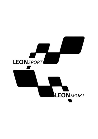 Leon Sport Etiket Yapıştırma 30cmx11cm Mmd246