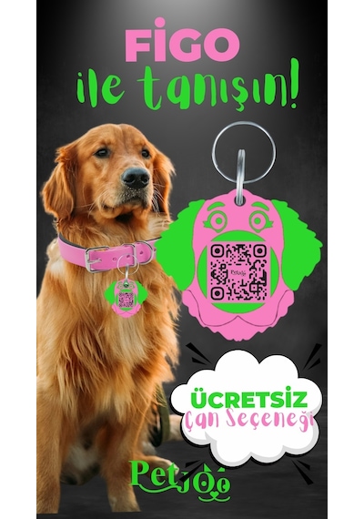 Petjoo 27.Figo Yeşil-Pembe Qr'lı Köpek Künyesi