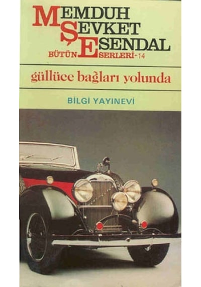 Kitabevimden Güllüce Bağları Yolunda