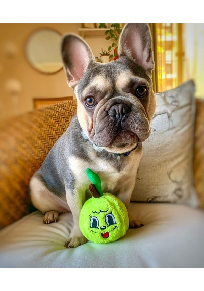 Havhav Haşarı Yeşil Elma Peluş Köpek Oyuncağı