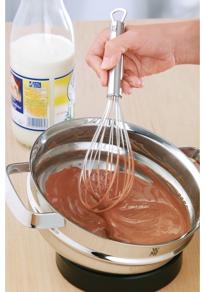Wmf Profi Plus Çırpıcı 25 CM Gri