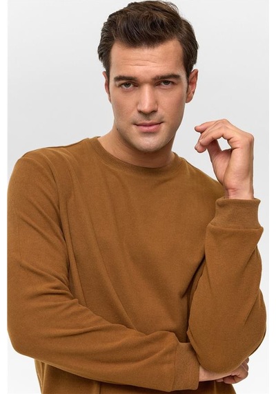 Süvari Koyu Kahve Regular Düz Bisiklet Yaka Sweatshirt Koyu Kahve
